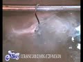 ULTRASONIC CARB CLEANING ULTRASONIC CARB CLEANING