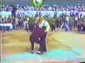 太极永年大会 Yong Nian TaiJi Festival part 3