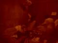 videos de Buenafe Cafe-Part 2