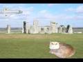 2001: A CAT ODYSSEY