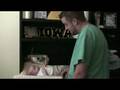 videos de 20080916165732.m2ts