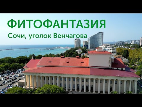 Фитофантазия Сочи