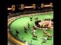 Tiny Horse Race!!