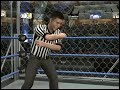 Mickie vs. Melina