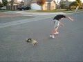 tre-flips