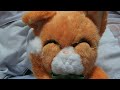 みかん絵日記まねきみかん(ねこのぬいぐるみ) Mikanneniki mikan Stuffed Animals(cat Stuffed) みかん絵日記