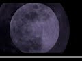 Radiohead - Faust ARP (music video)