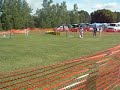 Basset Agility USDAA Junior Snookers