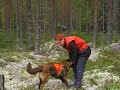Evan esine-etsintäharjoitus Evan esine-etsintäharjoitus