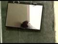 Clip Yann Tiersen La Lettre D'explication