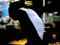 Pinguim louco no FISL 8