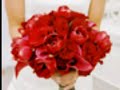 lauria cantrell sings when the roses bloom again, she has the voice of an angel, and i used my roses and diamonds i recieced for my 33 wedding anniversery for most of the pictures