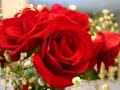 WHEN THE ROSES BLOOM AGAIN PT2 WHEN THE ROSES BLOOM AGAIN PT2