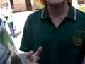 videos de (L