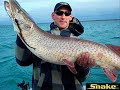 Fishing Snake Video