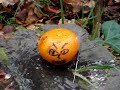 cheese-lemon-man-2-outtakes-.html