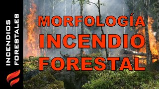 15 - Morfología de un incendio