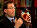 Podcast: Anomalous Coronary Artery Off The Pulmonary Artery