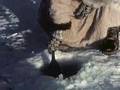Eskimos Winter in Western Alaska (1950)