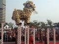 videos de 2008戲獅甲決賽@高雄市常勝舘醒獅團梅花樁--下樁