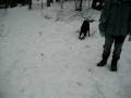 videos de Zoey in the Snow