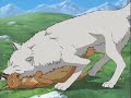 Wolf's Rain - Run, Wolf Warrior, run