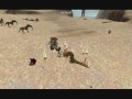 Romina Equites stance video.wmv