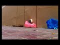 what flies around
