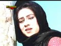 Mann vich vasna- Dilshad Akhtar | ORIGINAL SONG |