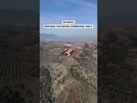 1250 BÜYÜK BAŞ KAPASİTELİ SATILIK CİFTLİK