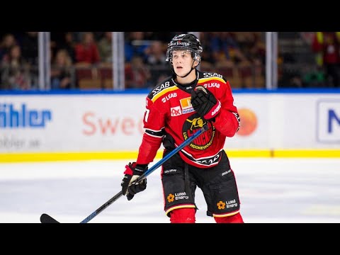 Nils Lundkvist | 27 | Luleå HF | 2019-20 Highlights