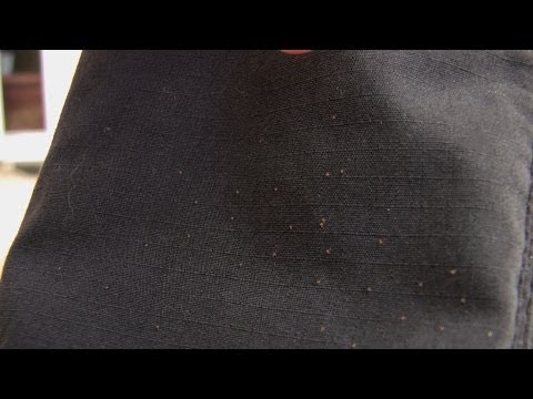 how to get rid of chiggers