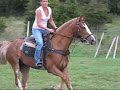 Horse riding