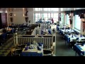 Susi Hotel - introduction