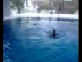 inpex-pool-splash.html