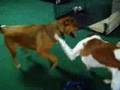 videos de Barney Meeting Buddy for First Time