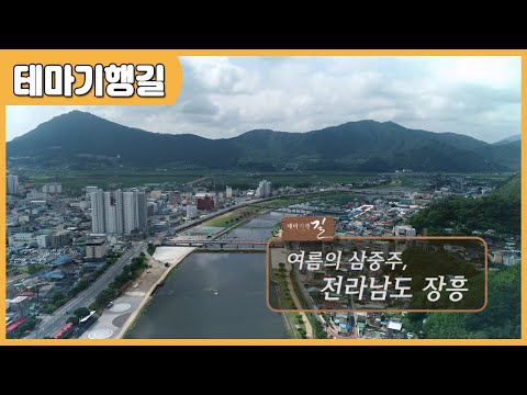 [테마기행길] 여름의 삼중주, 전라남도 장흥