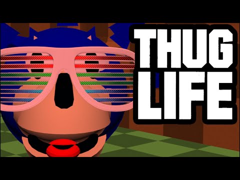 THUG LIFE 3D!!!