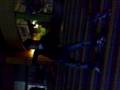 Tiger D.A.N.C.E Tecktonik Yelle show =)