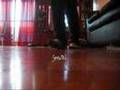C-walk - LoveInThisClub(remix)
