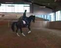 Tangos pirouettes get much better and keeps much more quiet in the flying changes