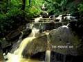 Assistir ao v�deo