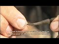 Korda How to use Lead Clips Korda How to use Lead Clips