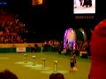 Crufts 2008 - Gundogs BOG