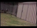 Motorized bike: Onboard Cam