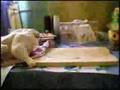 csirke stop-motion