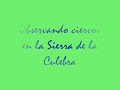 ciervos en la sierra de la culebra