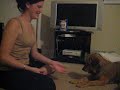 Cinnabun learns \"Down\"