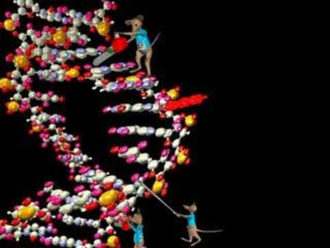 Nucleotide excision repair (NER) of ...