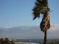 Santa Monica, 12/08/2007, Windy, Bird (1)